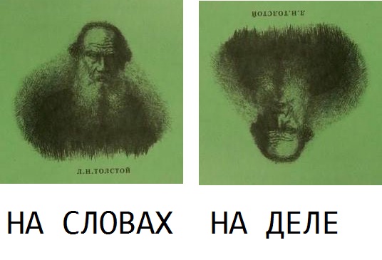2386580.jpg