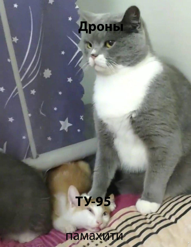 249333468.png