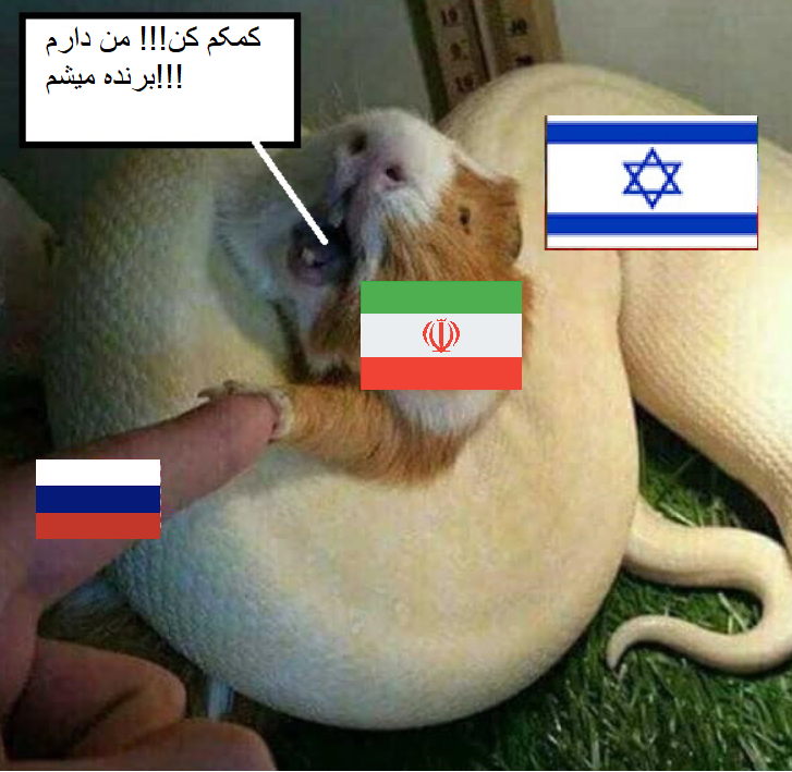 2537754.png
