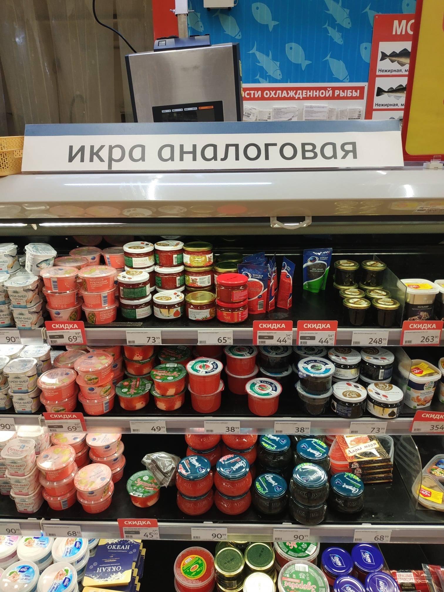 2564630.jpg