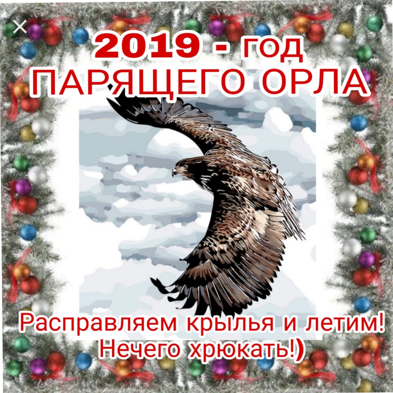 27413A5D-F922-4470-AE3E-DD74679CD92D.jpeg