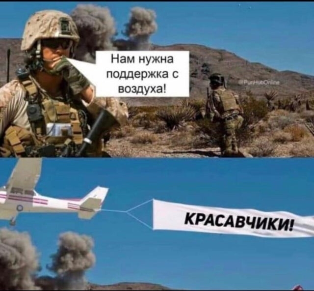 278780.jpg