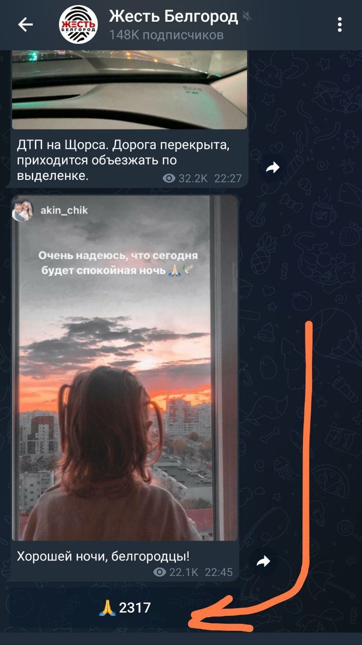 2860.jpg