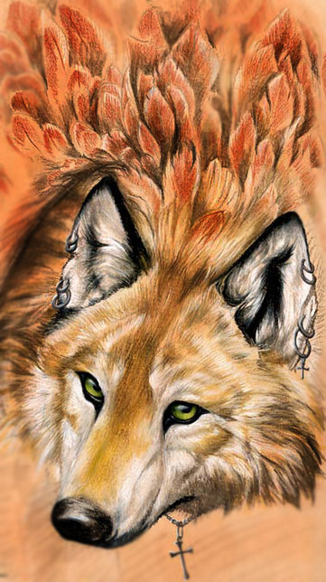 29719727_foxfire.jpg