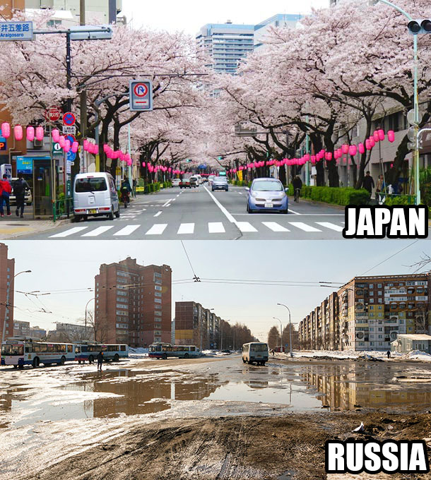 321.jpg