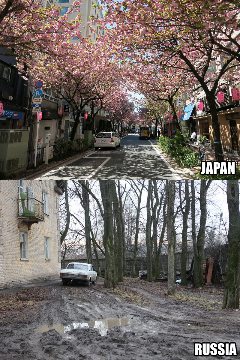 322.jpg