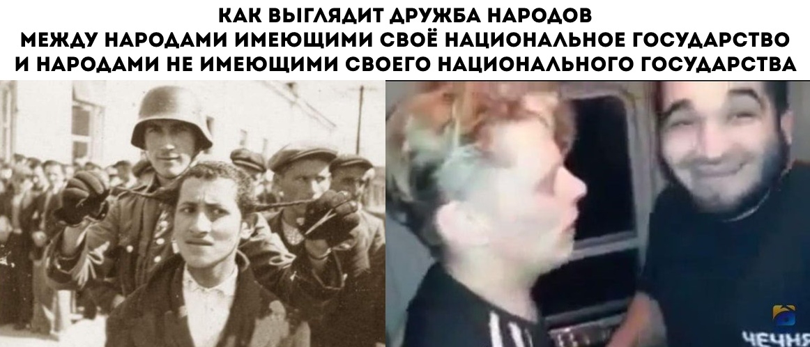 37531.jpg