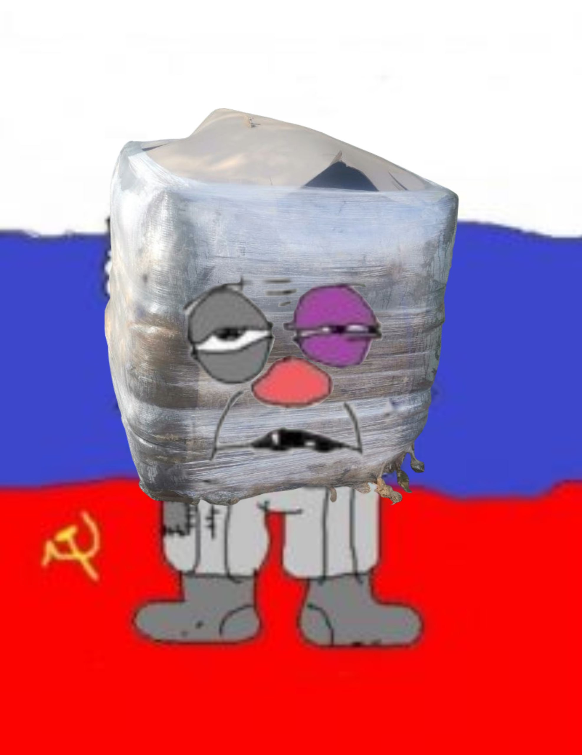 37532254.png