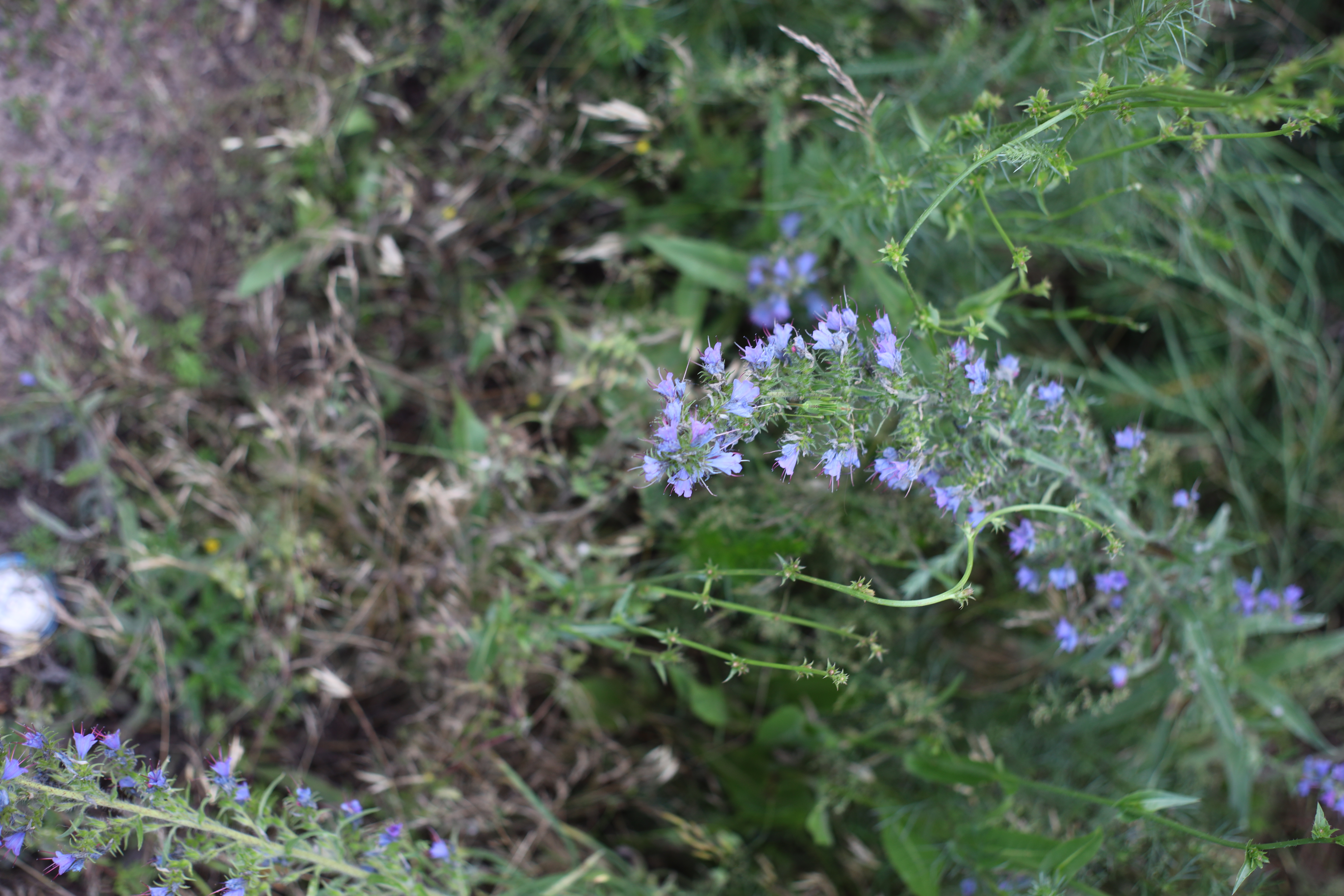 427A0755.JPG