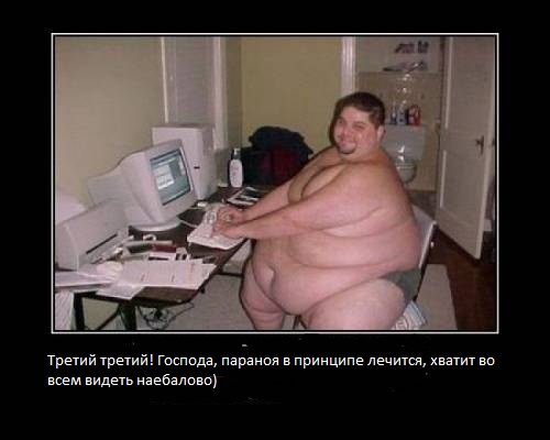 508532266.jpg