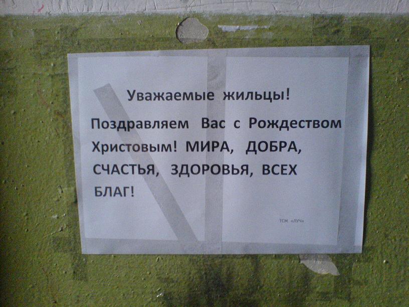 52.JPG