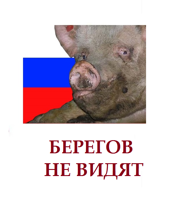 62.png