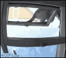 685875987534r876548.gif