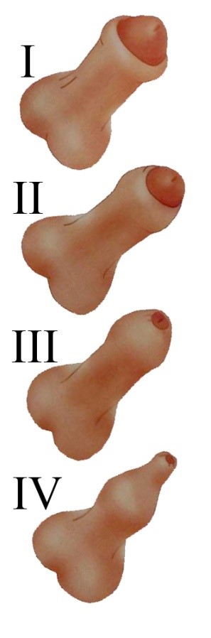 6938A01C-C1BD-4115-89B1-6C97CDACE7BB.jpeg