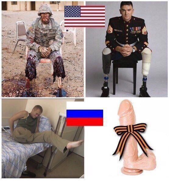 7521249.jpg