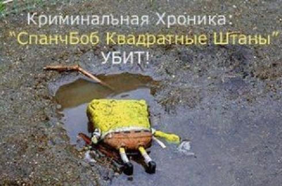 .jpg