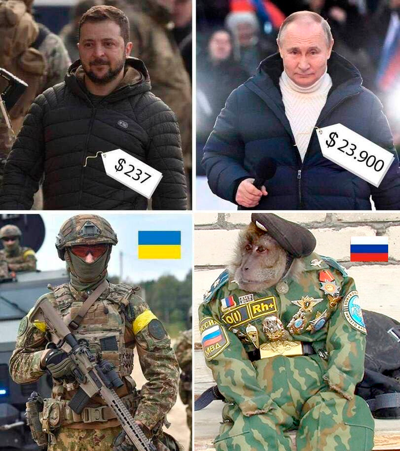 7586624.png