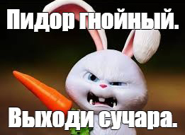 789f2a0a807b18bc8fc611743736c24f.jpg