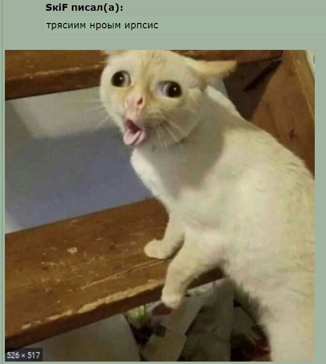7bb1345da358_194.png