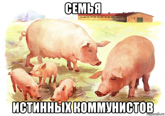 935294671.jpg