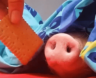 9486.gif