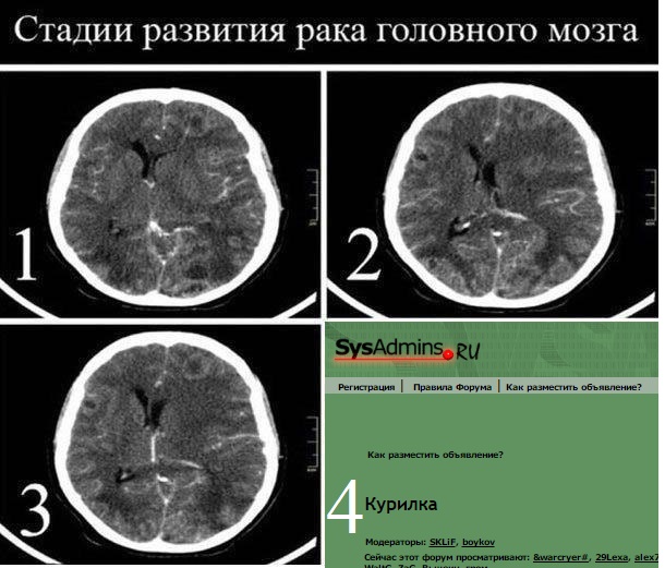 9726cfac8880fb7f86c2d954b2fb1248.jpg