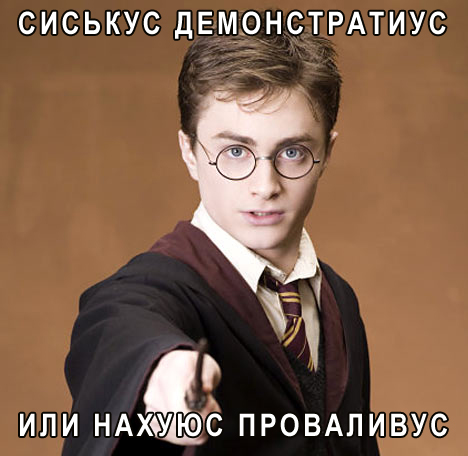 998324174.jpg