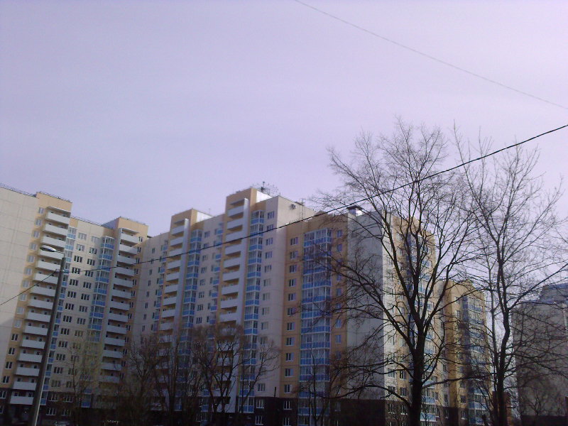 -0004.jpg