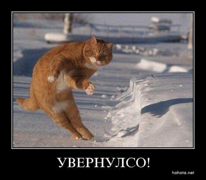 -1329480451_0080.jpg