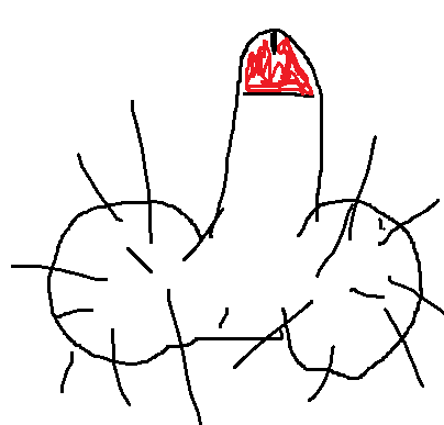    (2).bmp