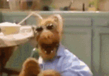 alf2.gif