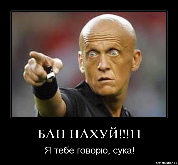 b63rkus1cucd.jpg