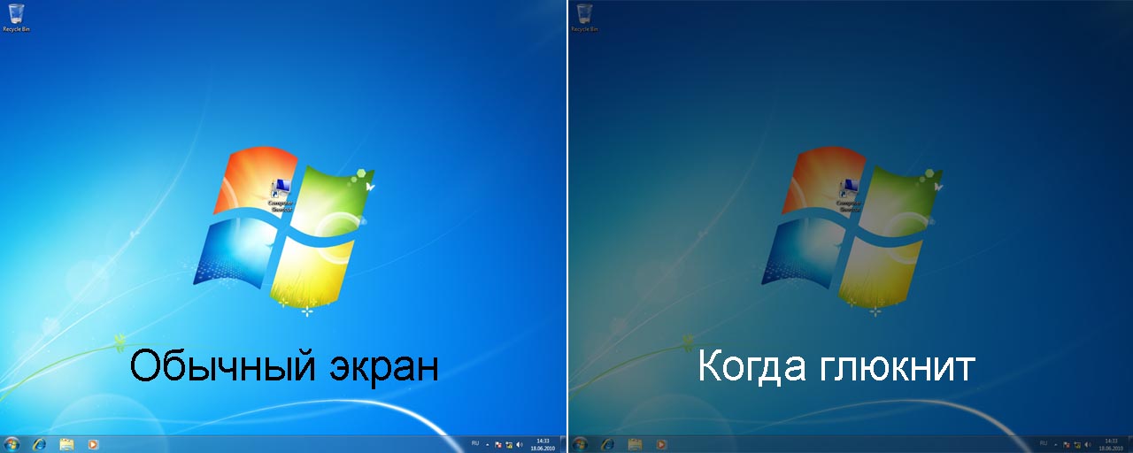 bug.jpg