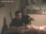 dasflamingbabge000.gif