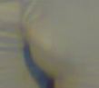 dba.PNG