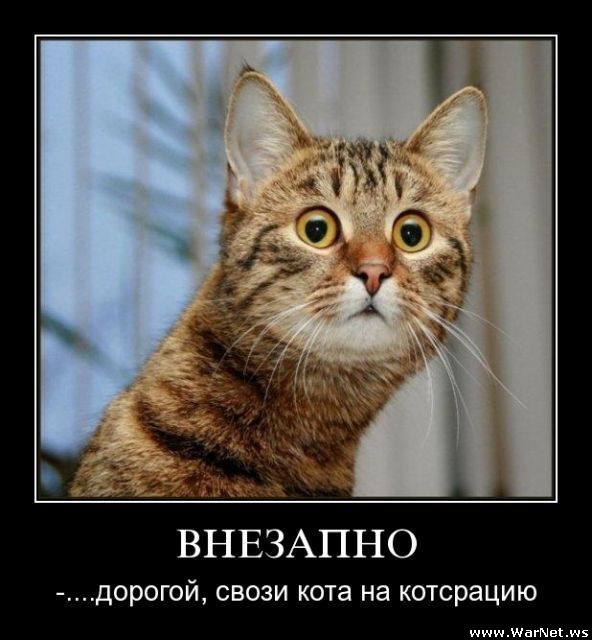demotiv (2).jpg