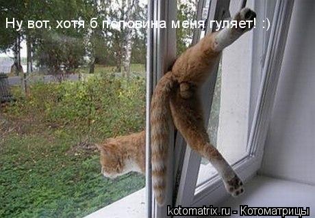 DN.jpg