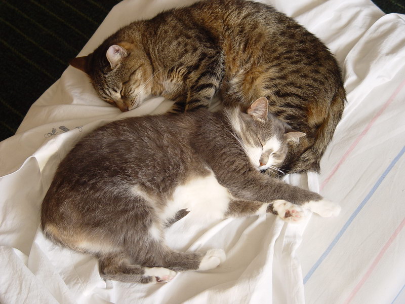 DSC00809.JPG