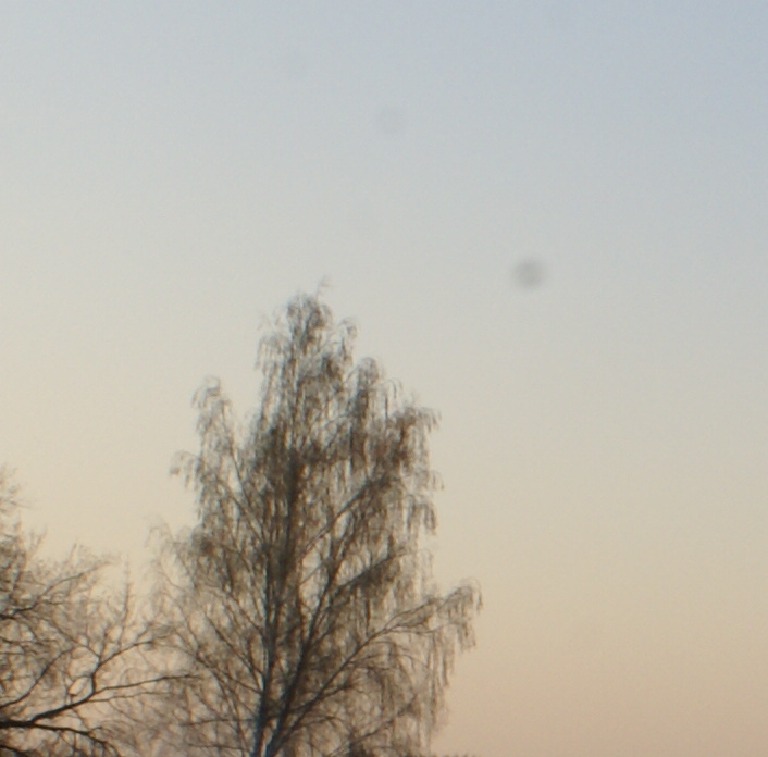 DSC09173_cr.jpg