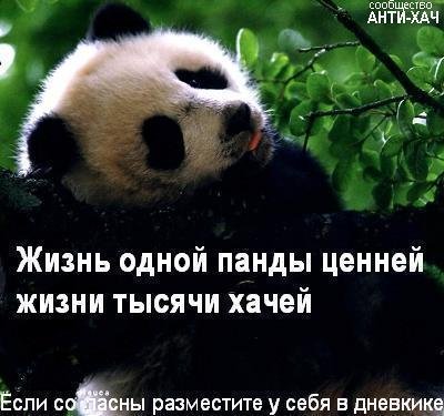 =)).jpg