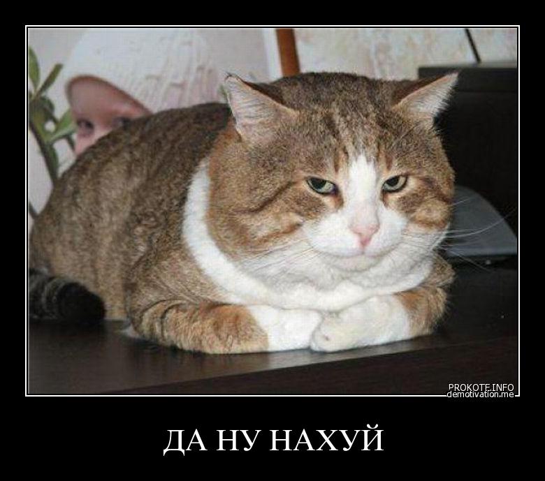 es2j9mhr0af2.jpg