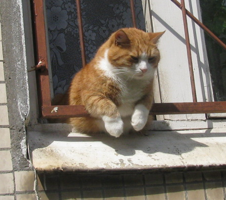 filimon.png