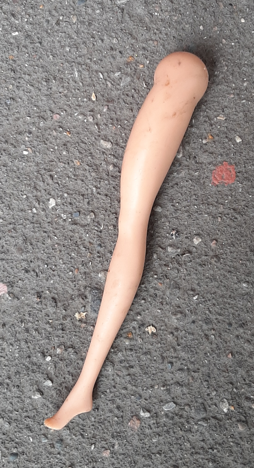 gendir_toy.jpg