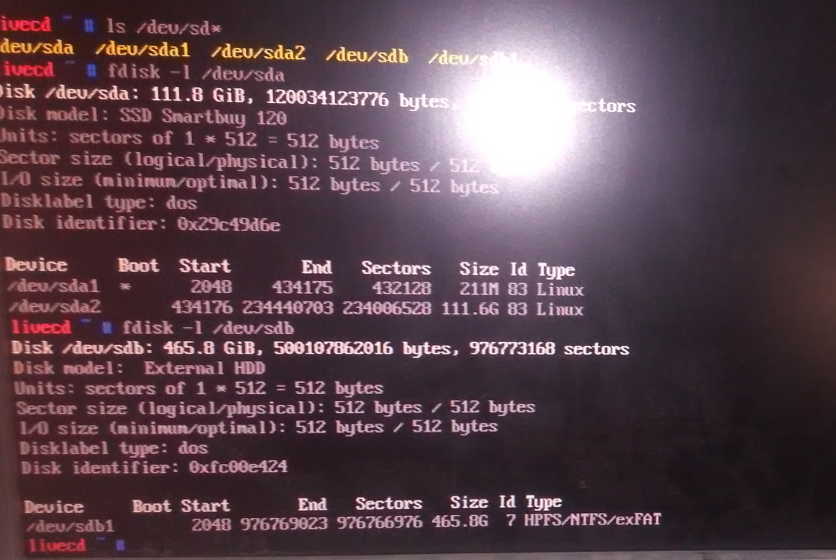 gentoo1 - .jpg