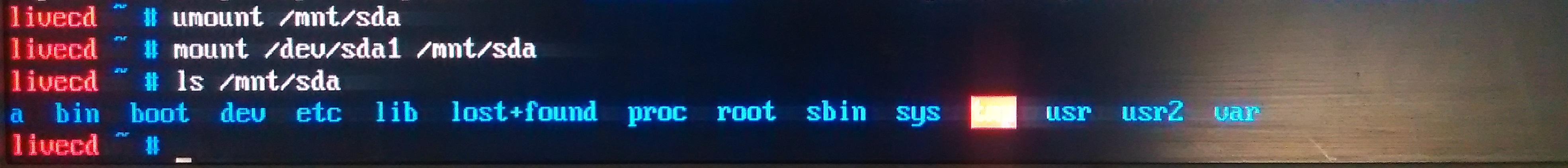 gentoo3 - .jpg