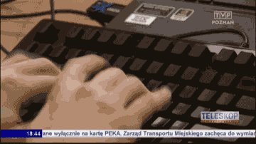 giphy (1).gif