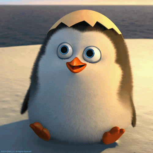 giphyr.gif
