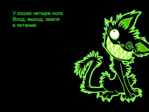 green-electric-cat.jpg