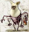 grefec.jpg