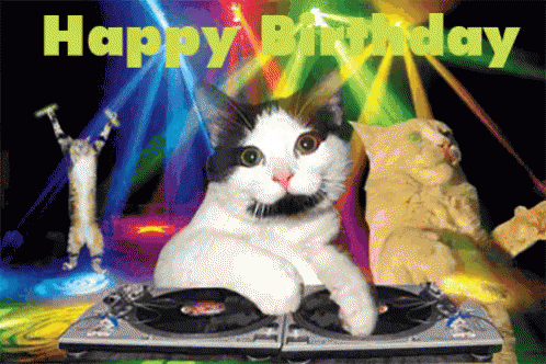 happy_bthd_cats.gif